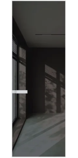 Дверь Profildoors 1AGN глянец