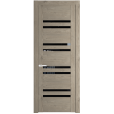 Дверь Profildoors 1.6N